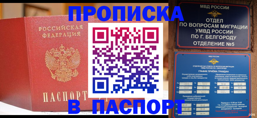 временная регистрация в квартире в Сураже